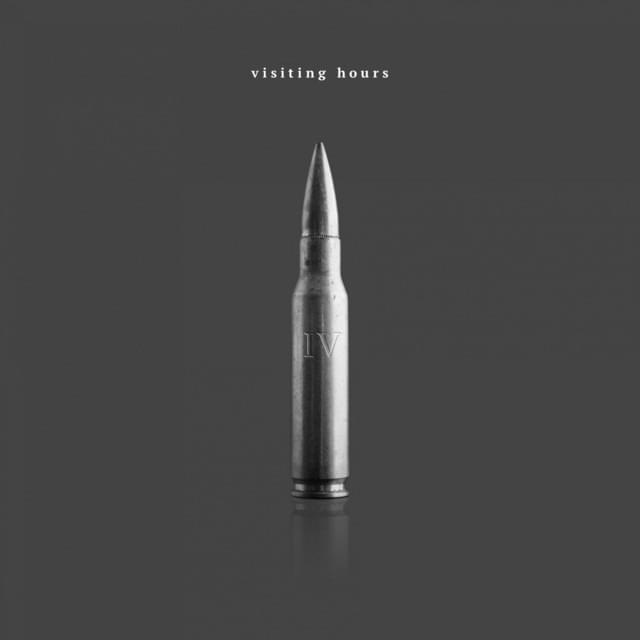 Album cover art for "Visiting Hours" by The Butterfly Effect