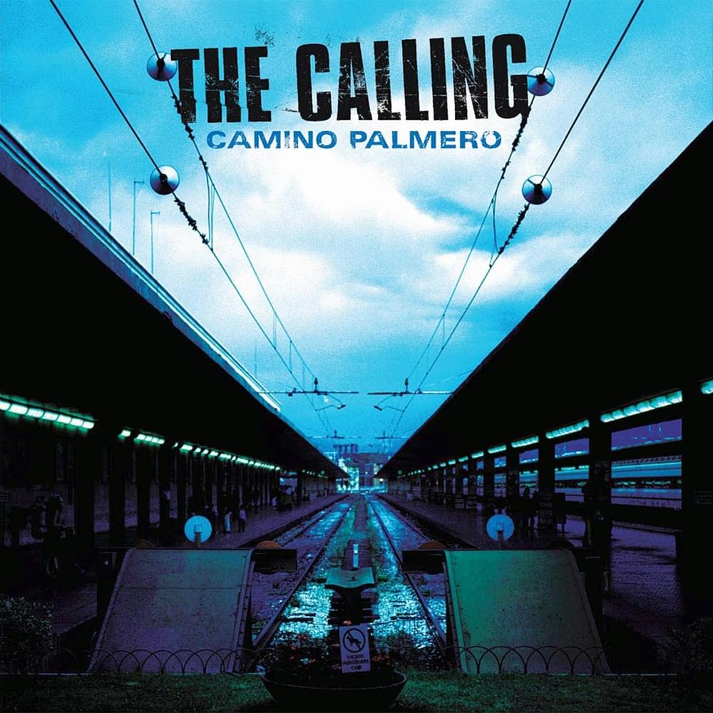 Cover image for Camino Palmero
