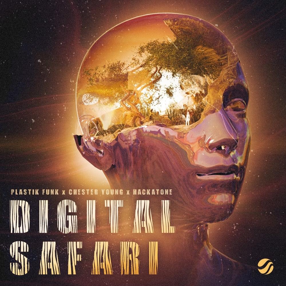 Album cover art for "Digital Safari" by Aspyer