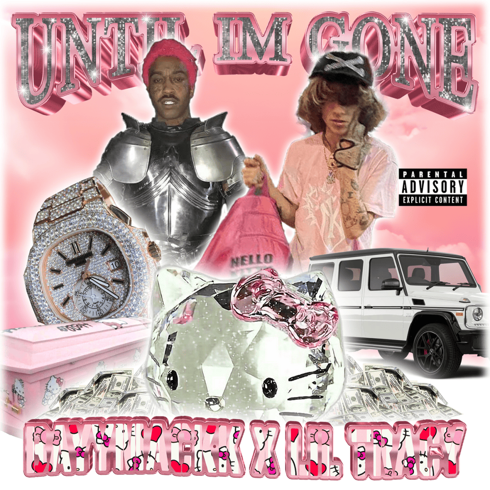 Cover image for until i’m gone