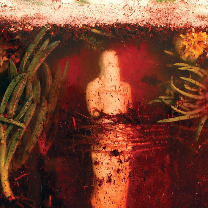 The Clearing by Wreck and Reference