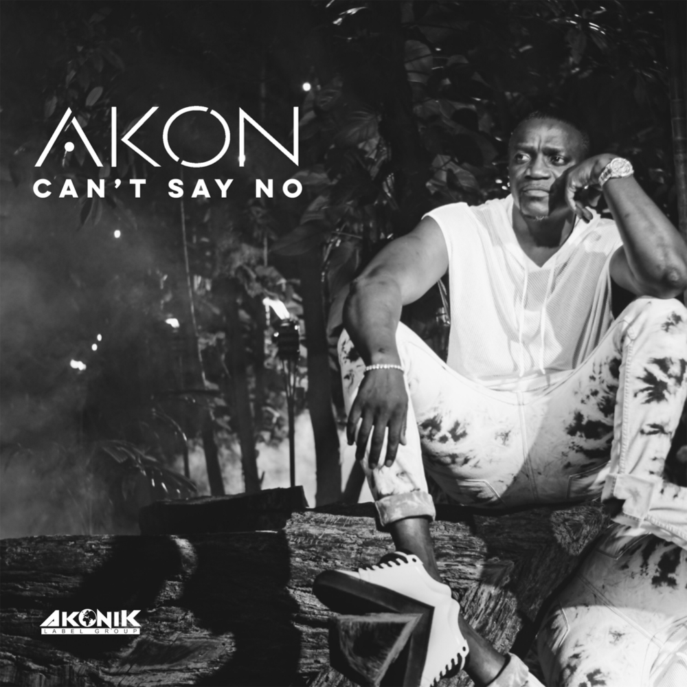 Album cover art for "Can’t Say No" by Akon