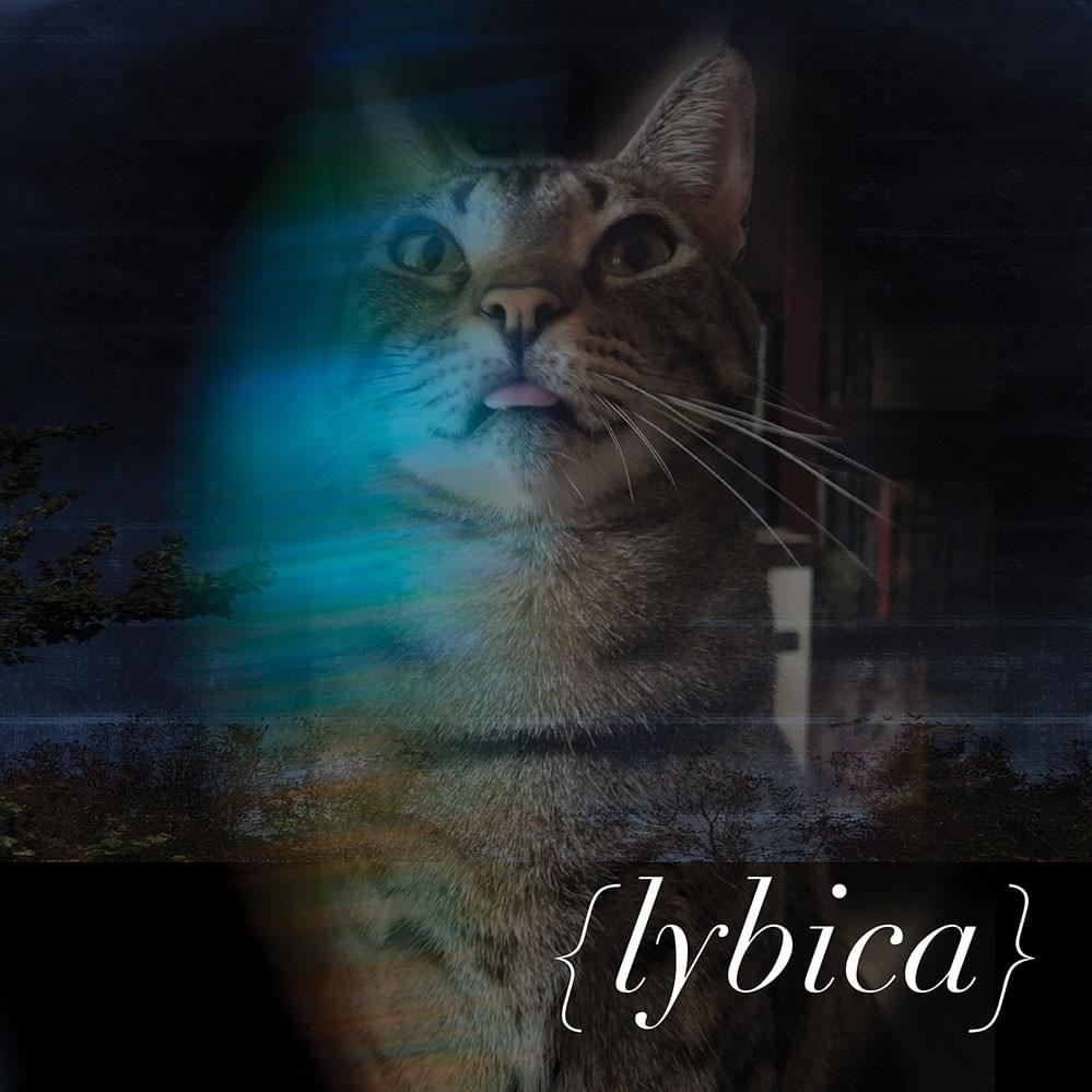Ascend by Lybica