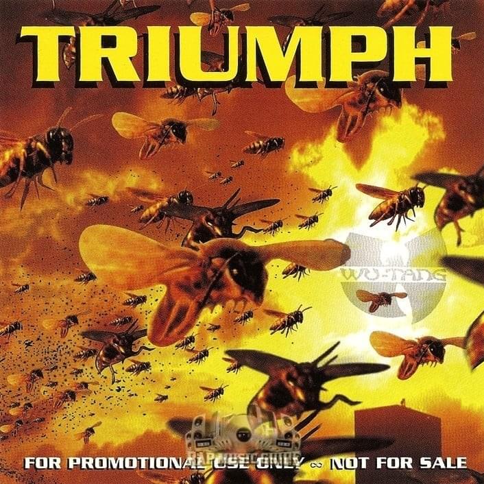 Cover image for Triumph - Single