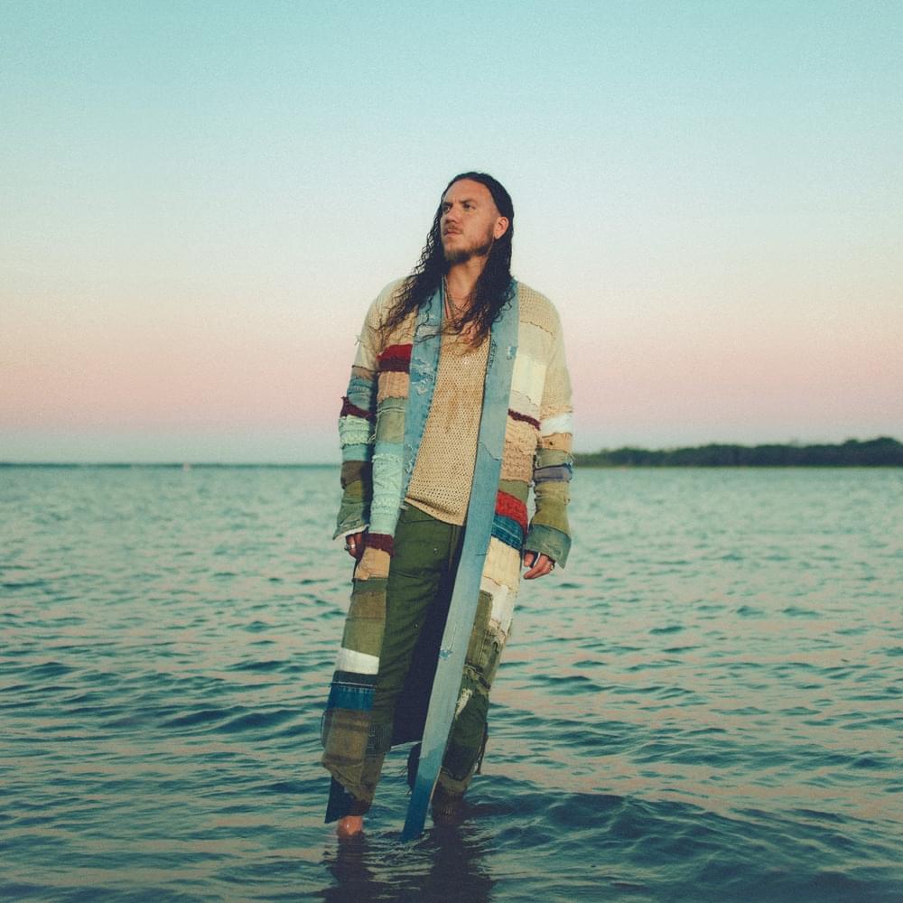 Cover image for COAT OF MANY COLORS
