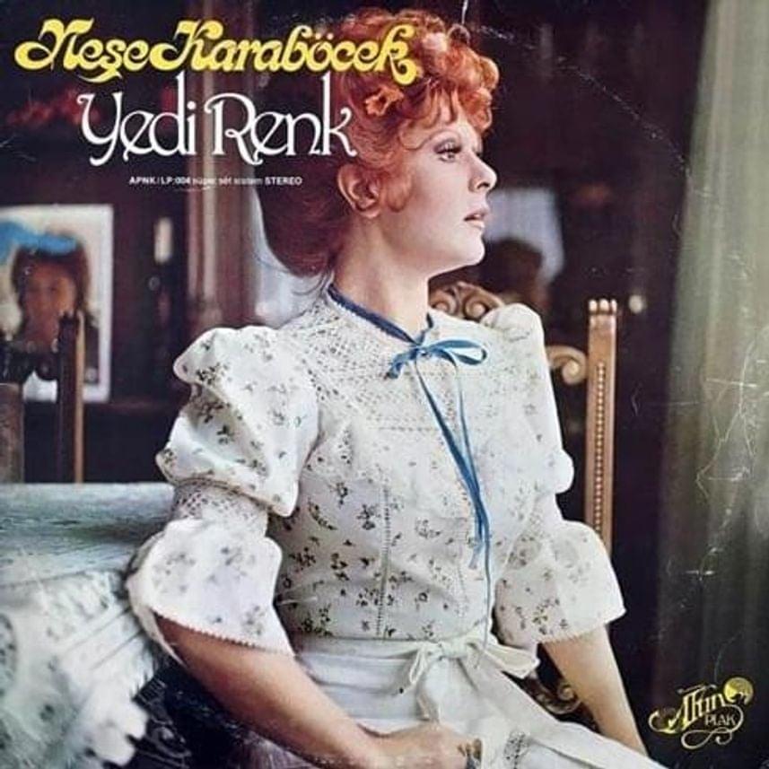 Album cover art for "Günün Birinde" by Neşe Karaböcek