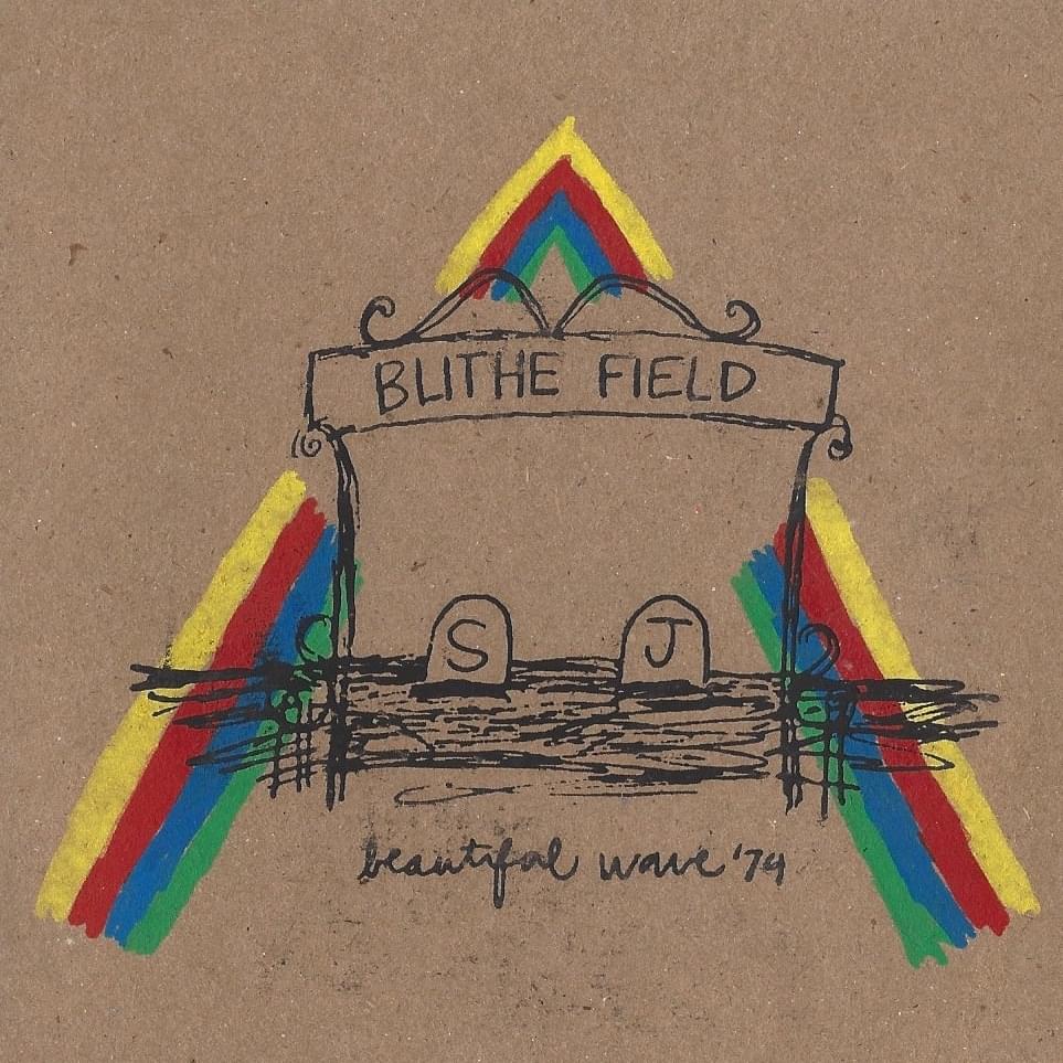Duck by Blithe Field