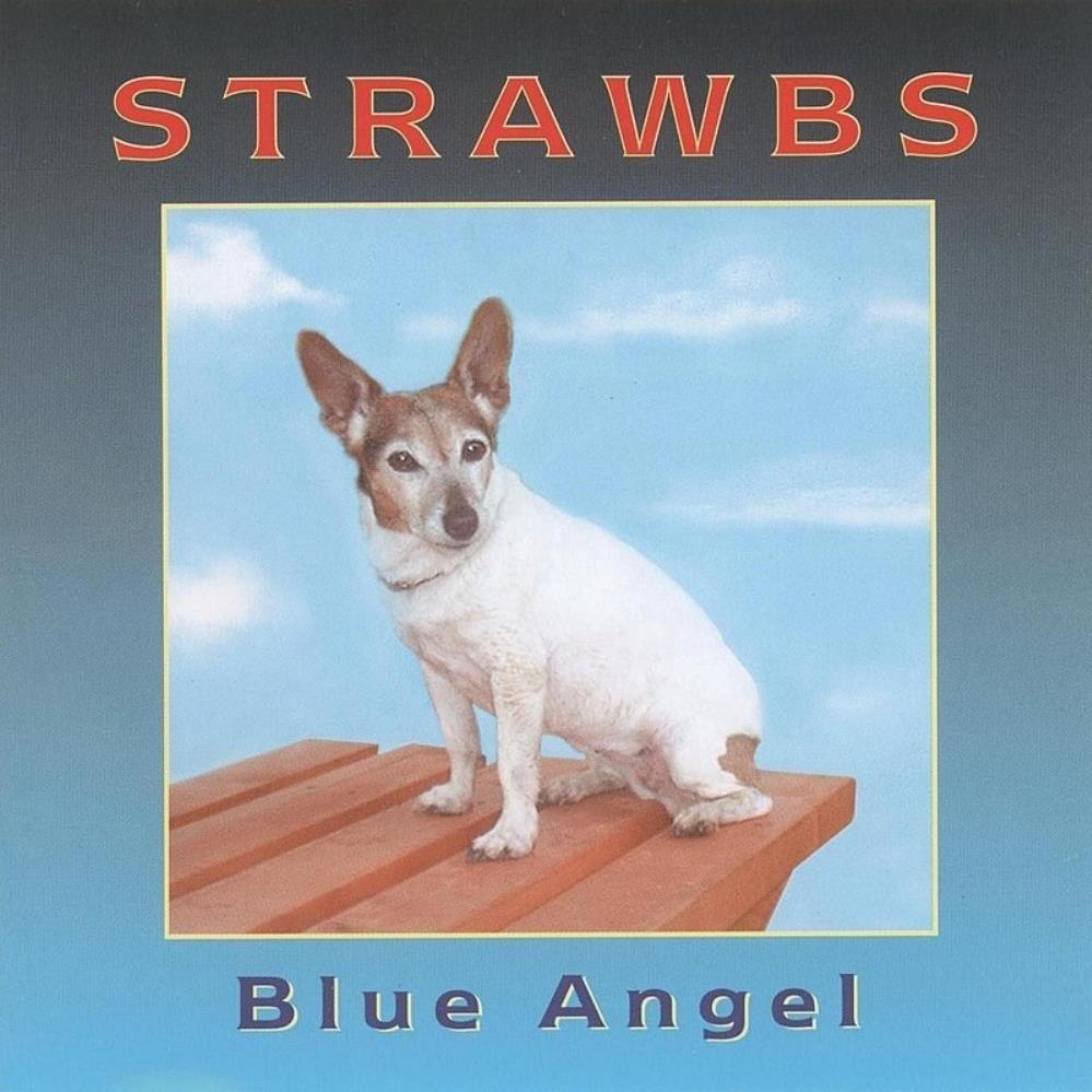 Cover image for Blue Angel