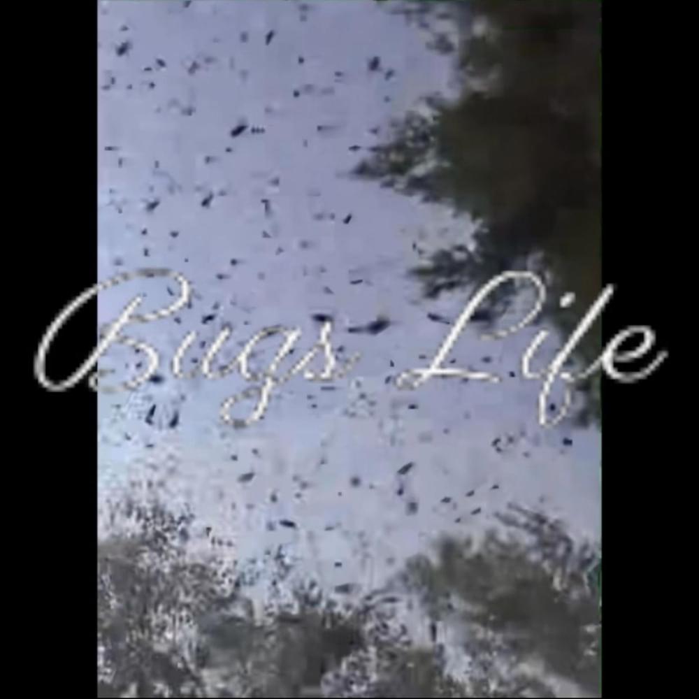 Album cover art for "Bug’s Life" by woody