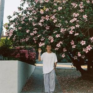 Cover image for MEDASIN