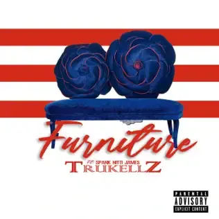 Album cover art for "Furniture" by Spank Nitti James
