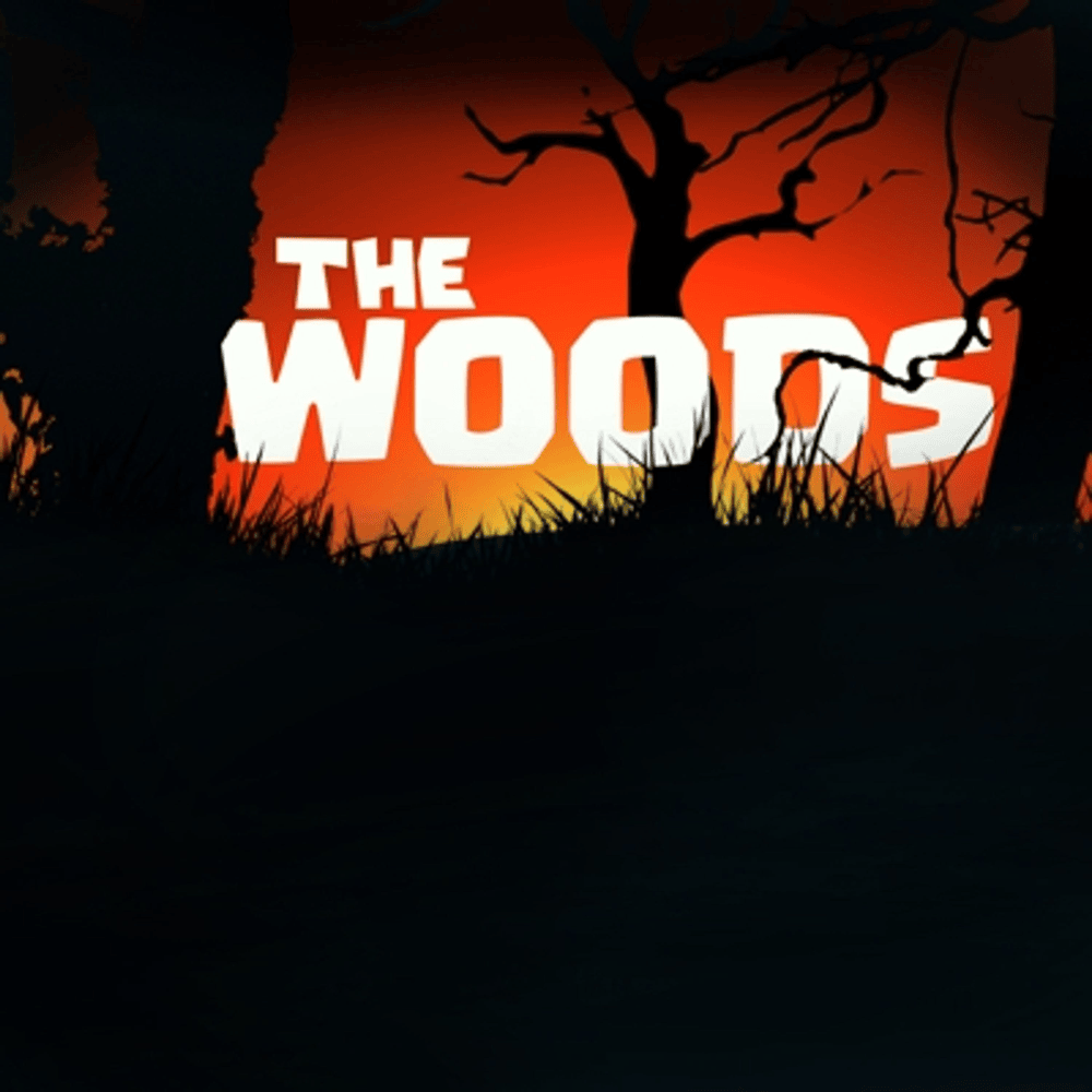 Album cover art for "The Woods" by Rockit Music