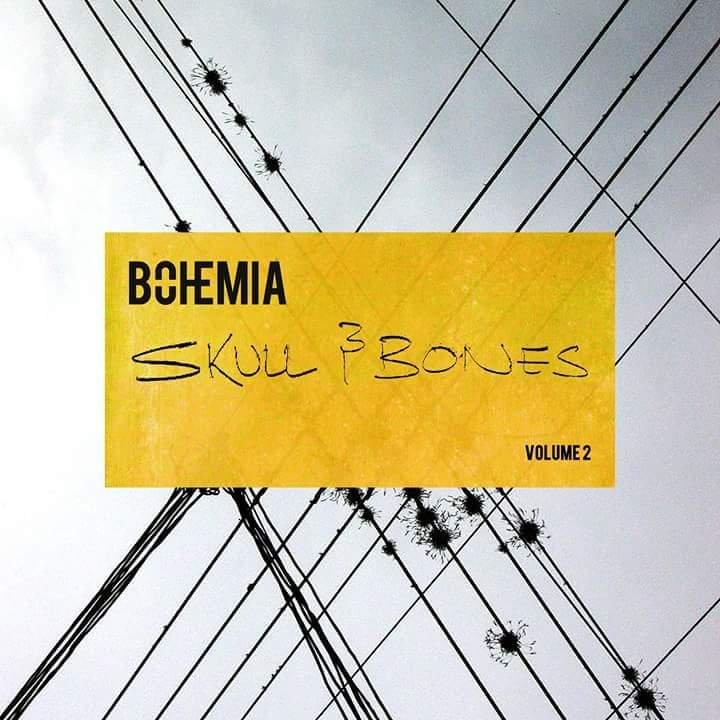 Cover image for Skull & Bones Volume 2