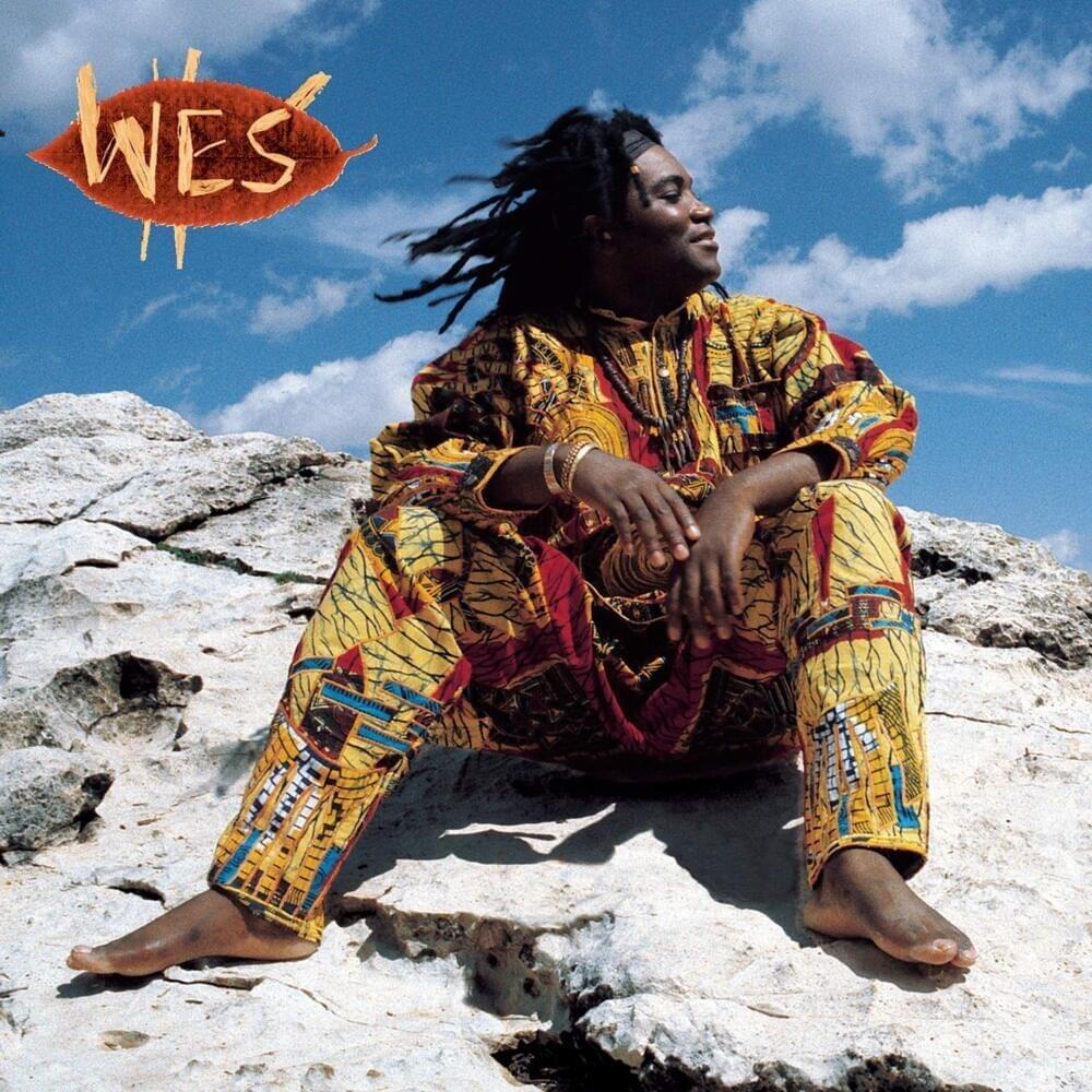 Cover image for Welenga