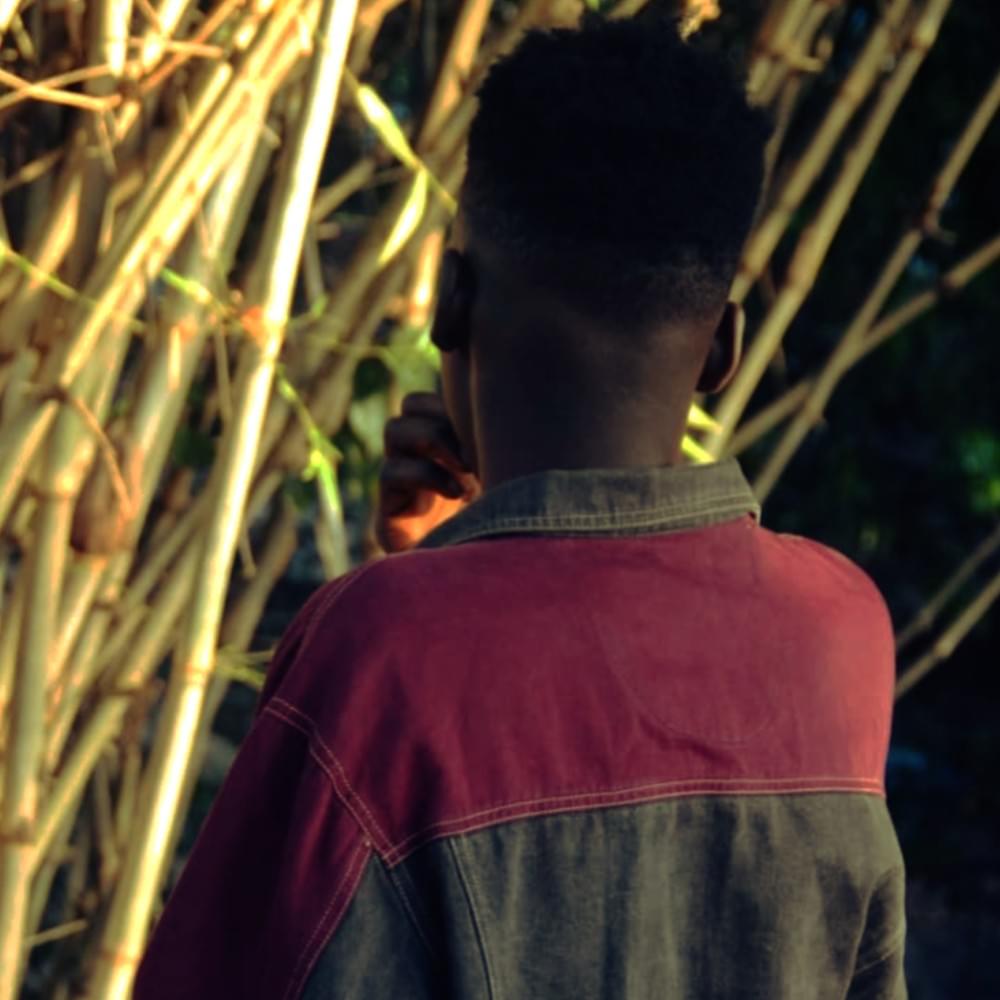 Cover image for Zayaa Dboy