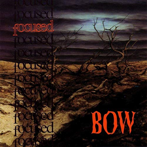Album cover art for "Perfect Will" by Focused