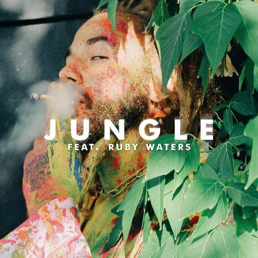 Album cover art for "JUNGLE" by DillanPonders & Ruby Waters
