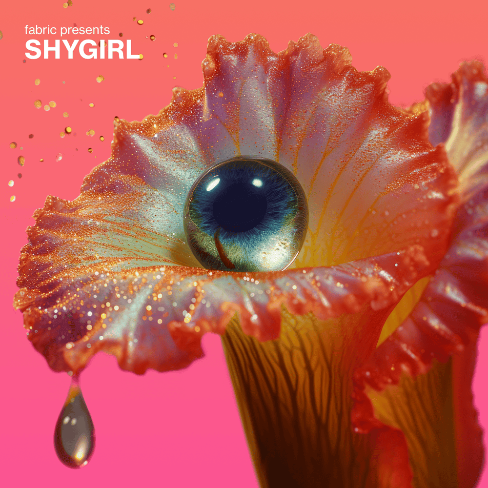 Cover image for fabric presents Shygirl (Vinyl Version)