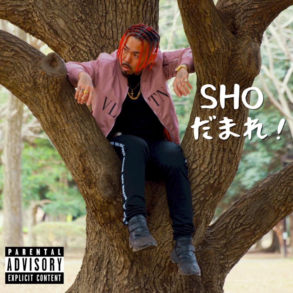 Album cover art for "だまれ! (DAMARE!)" by SHO