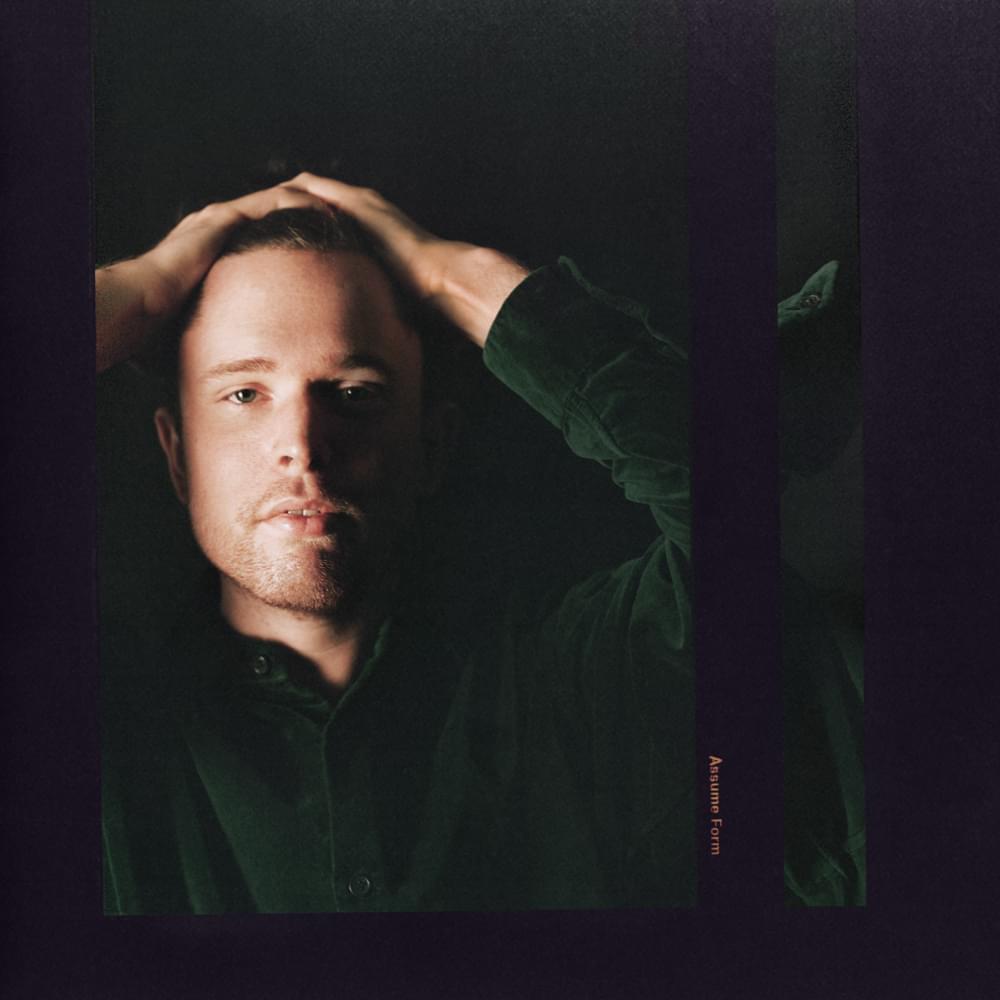 Cover image for Assume Form (Deluxe)