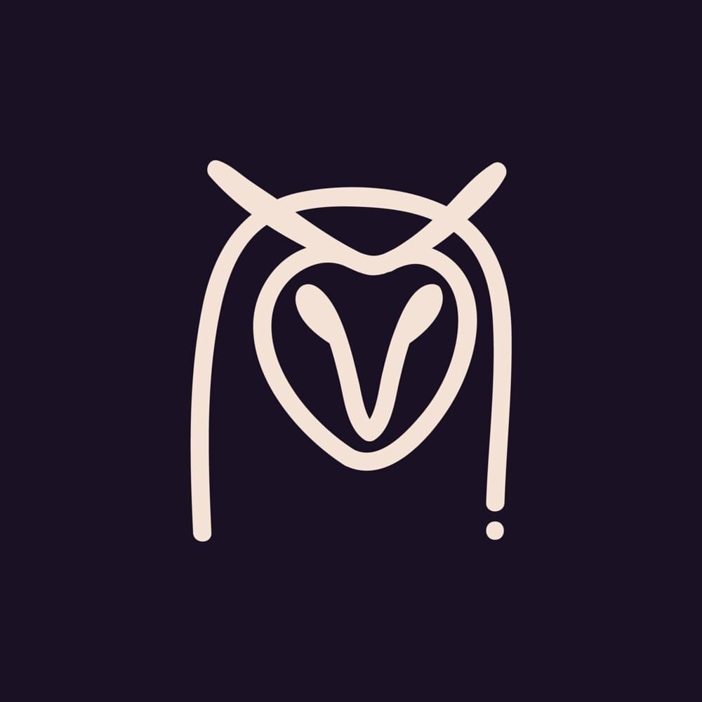 Cover image for Night Owl Collective