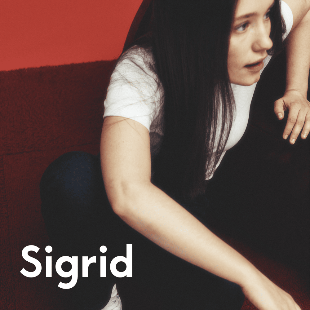 Album cover art for "The Hype" by Sigrid