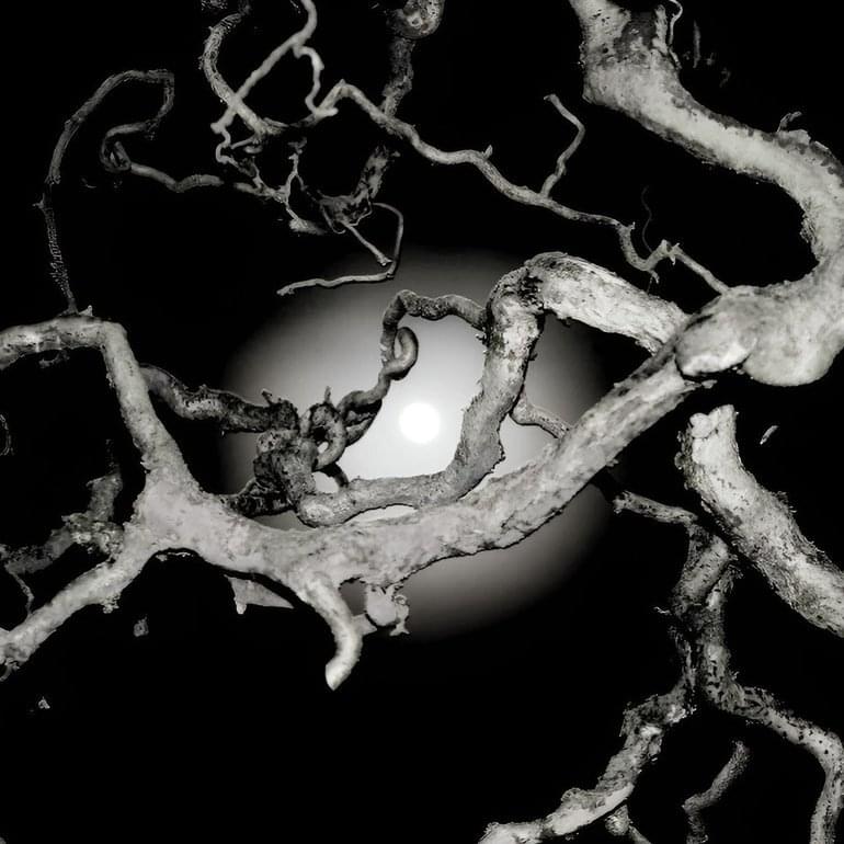 Album cover art for "I BEEN" by Southsidesilhouette