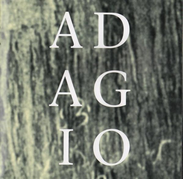 Album cover art for "Adagio" by 坂本龍一 (Ryuichi Sakamoto)