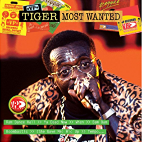 Cover image for Most Wanted