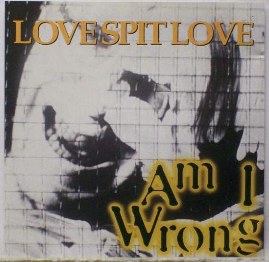 Album cover art for "Am I Wrong" by Love Spit Love