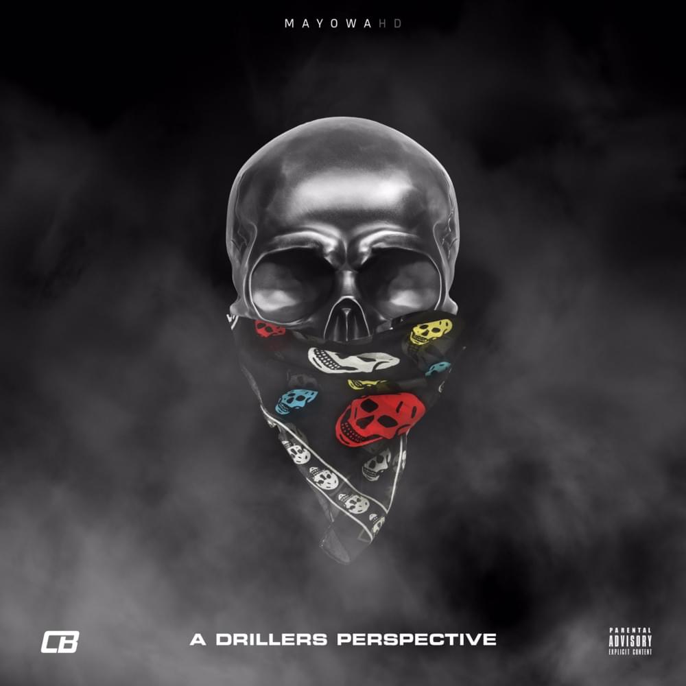 Cover image for A Drillers Perspective