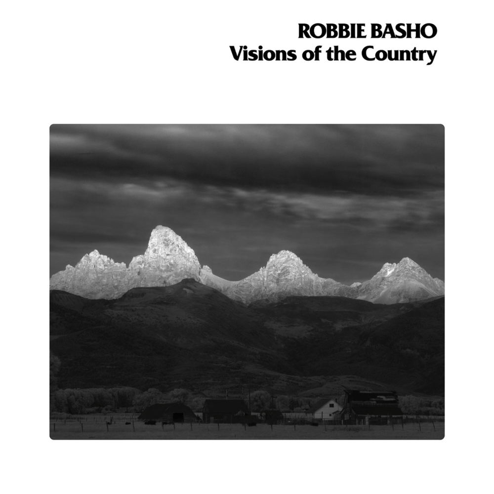 Blue Crystal Fire by Robbie Basho