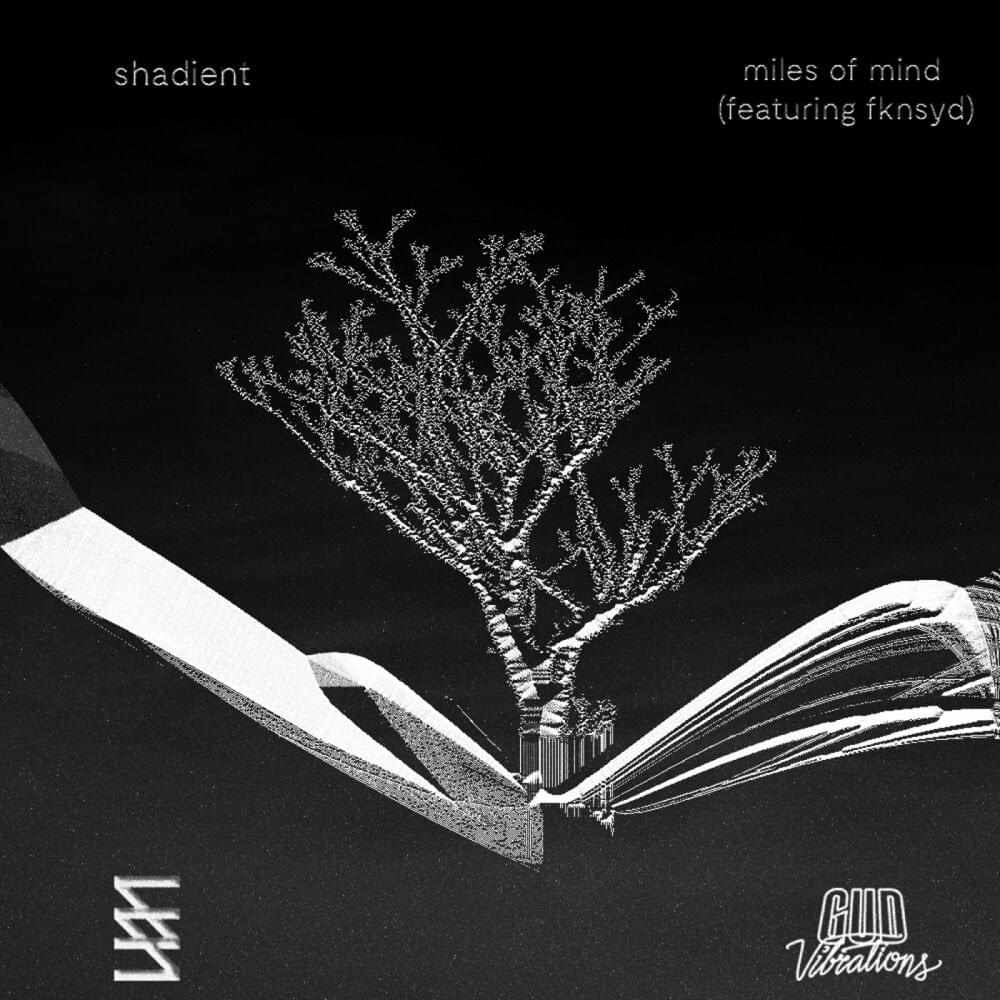 Album cover art for "Miles of Mind" by Shadient & fknsyd