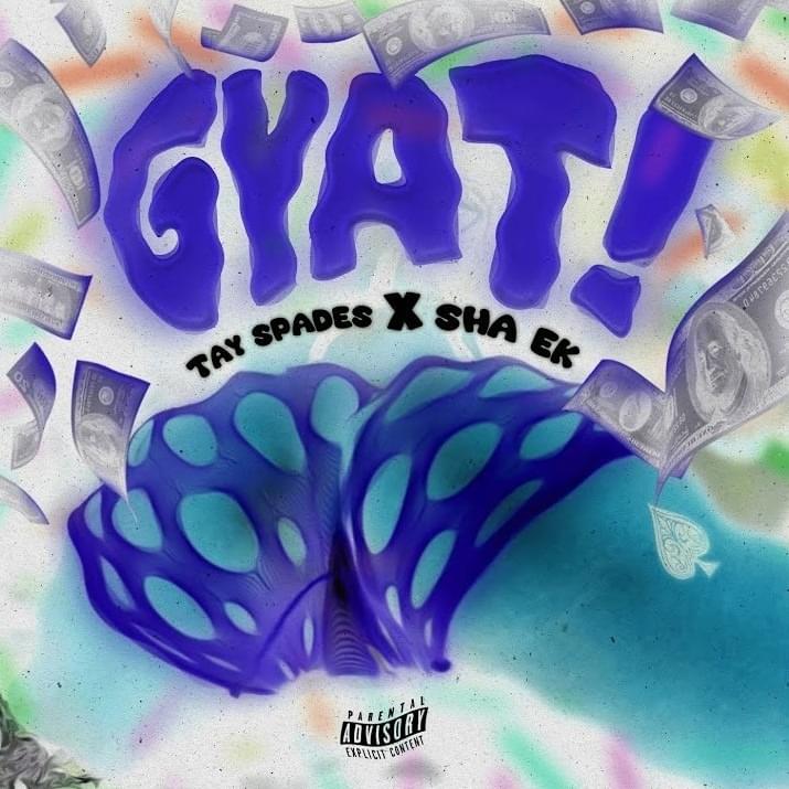 Cover image for Gyat Pack !