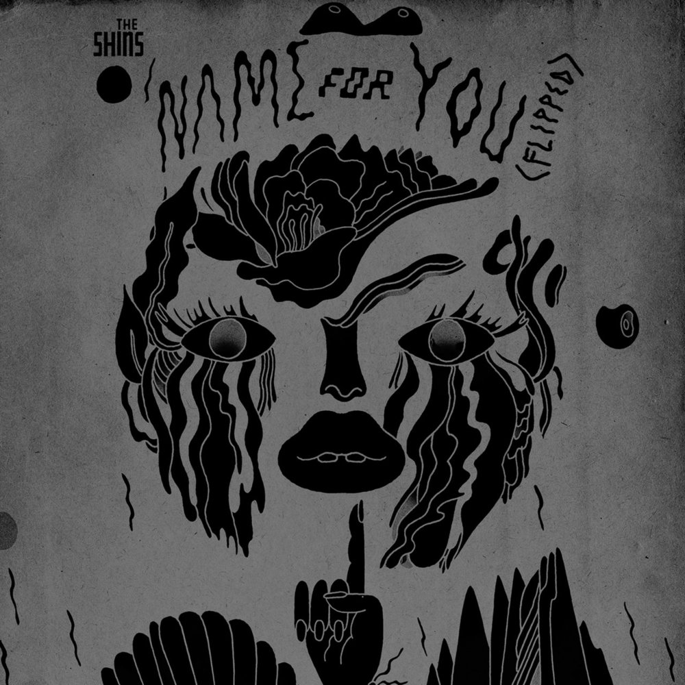 Album cover art for "Name for You (Flipped)" by The Shins