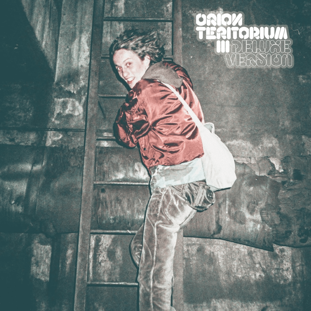Cover image for Teritorium III. (Deluxe Version)