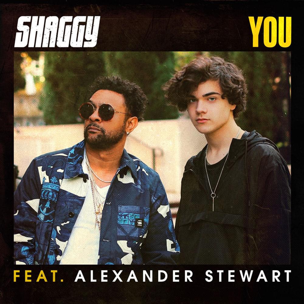 Album cover art for "You" by Shaggy & Alexander Stewart