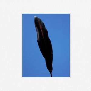 Album cover art for "You’re the Best" by Wet