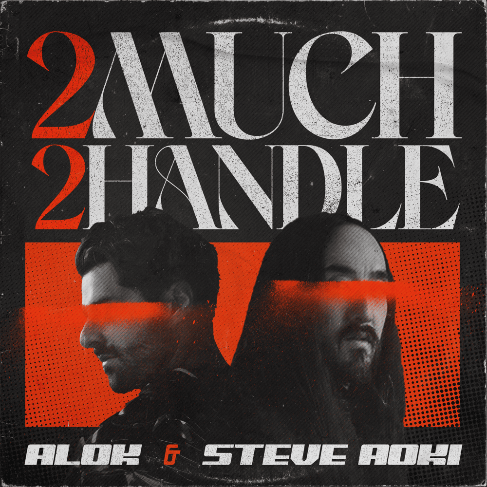 Album cover art for "2 Much 2 Handle" by Steve Aoki