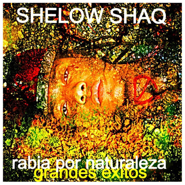 Album cover art for "Yo Tengo Un Problema" by Shelow Shaq & Milka La Mas Dura