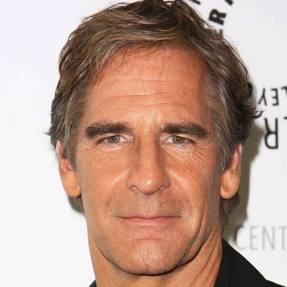 Scott Bakula Profile Picture Photo of Scott Bakula