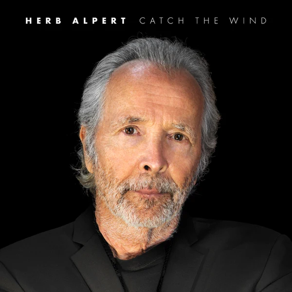 Cover image for Catch the Wind