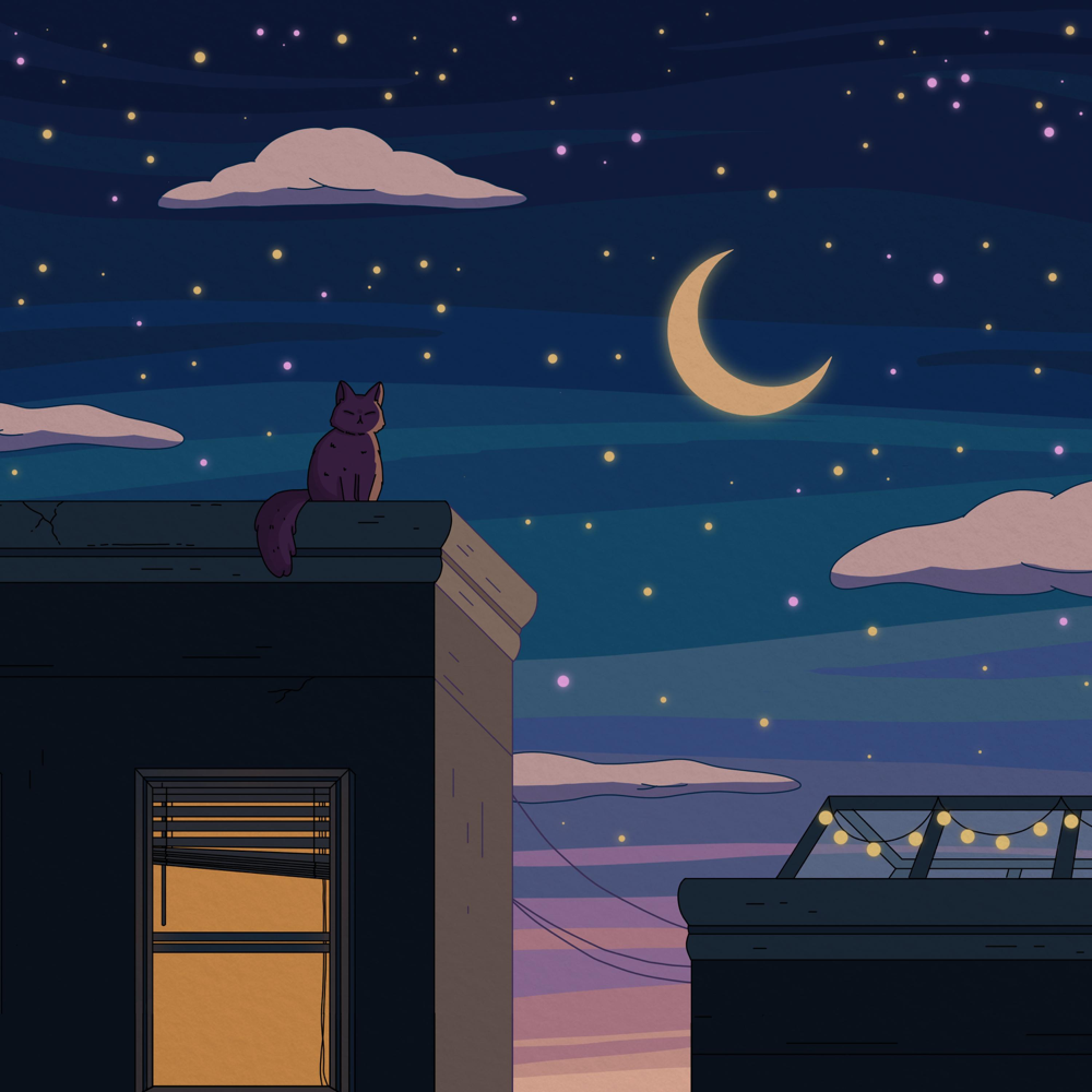 Cover image for City Nights