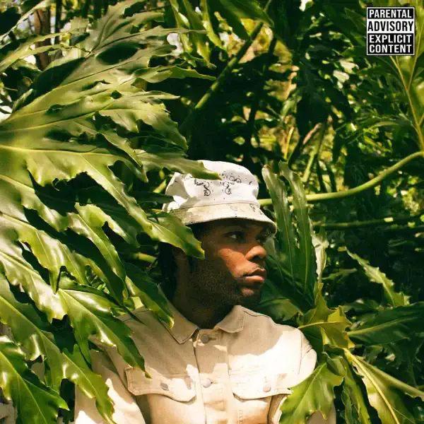 Album cover art for "No More Forever!" by Pollari
