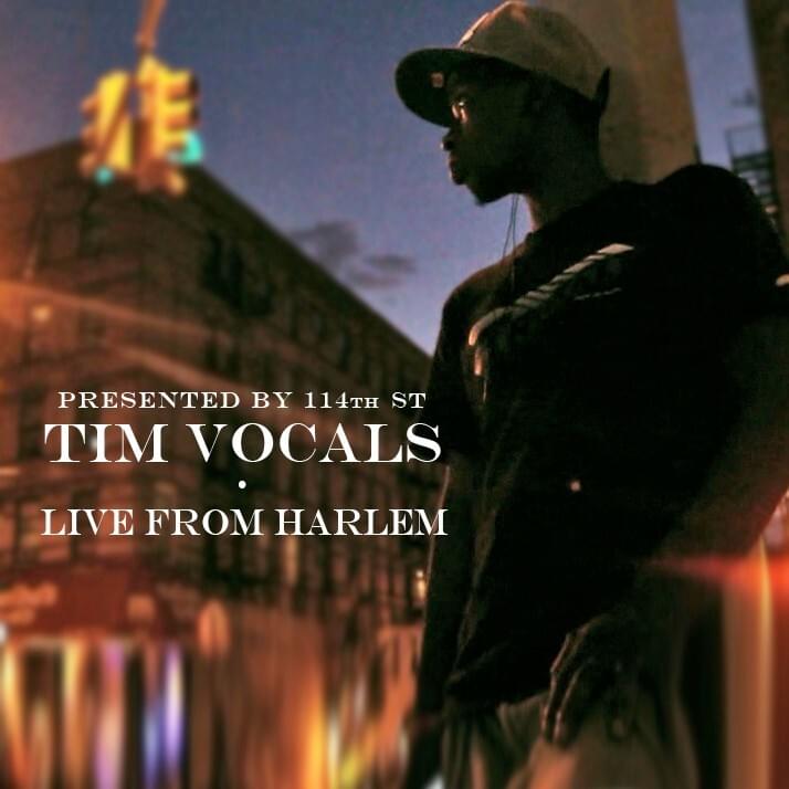 Album cover art for "NYC" by Tim Vocals