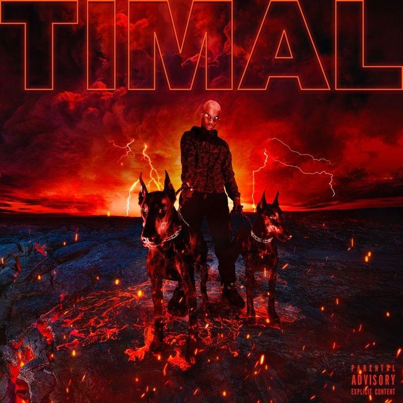 Album cover art for "Gang" by Timal
