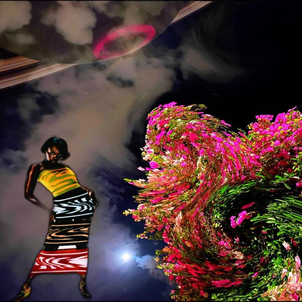 Cover image for SILENT GARDEN