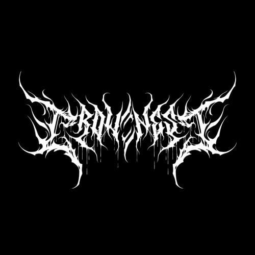 Cover image for Crowsnest Audio