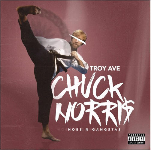 Chuck Norris (Hoes N Gangstas) by Troy Ave