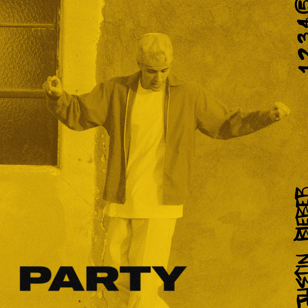 Cover image for Party